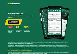Todo lo que necesitas saber sobre BetWinner Oficial 4